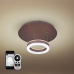 EUROPA Series // WiFi-Enabled Color-Changing LED Fixture // Bronze