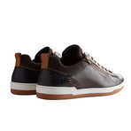 Maderno Sneaker // Dark Brown (Men's Euro Size 44)