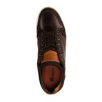G.Reims Sneakers // Dark Brown (Euro: 43)