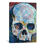 Pointillism Skull // Michael Creese (18"W x 26"H x 0.75"D)