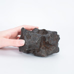 Campo Del Cielo Whole Meteorite // DT-70