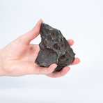 Campo Del Cielo Whole Meteorite // DT-69