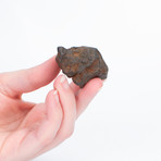 Canyon Diablo Meteorite