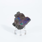 Ammolite