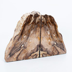 Petrified Wood Bookends