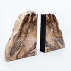 Petrified Wood Bookends