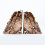 Petrified Wood Bookends