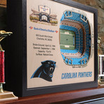 Carolina Panthers // Bank of America Stadium (25 Layers)