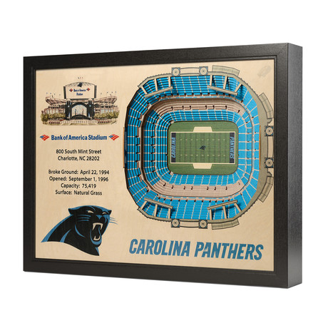 Carolina Panthers // Bank of America Stadium (25 Layers)