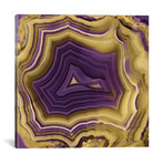 Agate In Purple & Gold II // Danielle Carson (18"W x 18"H x 0.75"D)