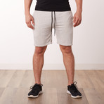 Well Traveled Short Shorts // Grey (XL)