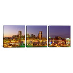City at night viewed from Federal Hill Park // Baltimore (36"W x 12"H x 0.75"D)