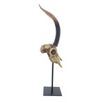 Antelope Skull Statue