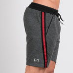 Preeminent Shorts // Charcoal Check (XL)