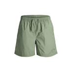 Summer Shorts // Green Bay (XL)