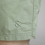 Summer Shorts // Green Bay (M)
