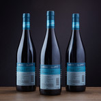 Abremundos Octava Alta Mendoza Red Blend // Set of 3