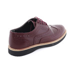 Elliott Shoe // Burgundy (Euro: 43)