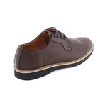 Len Shoe // Brown (Euro: 42)