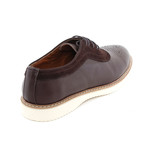 Ezra Shoe // Brown (Euro: 43)