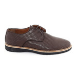 Frances Shoe // Brown (Euro: 41)