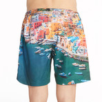Reed Swim Shorts // Procida (XL)