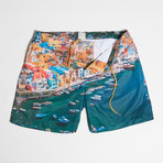 Reed Swim Shorts // Procida (XL)