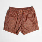 Deegan Swim Shorts // Orange (S)