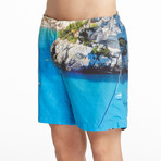 Sebastian Swim Shorts // Aqua (S)