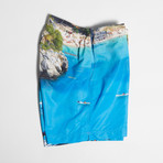 Sebastian Swim Shorts // Aqua (S)