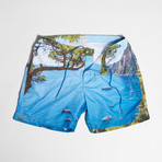 Adonis Swim Shorts // Marine Green (S)