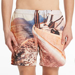 Benjamin Swim Shorts // Sunset (L)