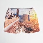Benjamin Swim Shorts // Sunset (M)