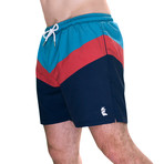 Retro V Comfort Flex Board Shorts (Small)