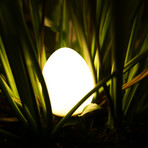 EGGIE Nightlight (Single Light Mode)