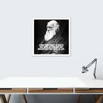 Charles Darwin Quote // Unknown Artist (18"W x 18"H x 0.75"D)