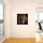 Eye Of The Tiger, Square // Collin Bogle (18"W x 18"H x 0.75"D)