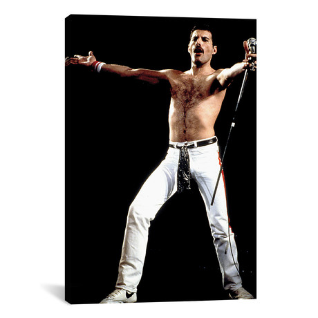 Freddie Mercury Performing On Stage With Queen // Globe Photos, Inc. (18"W x 26"H x 0.75"D)