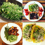 Grow Kit // Super Salad Mix, Hearty Broccoli, Energizing Kale