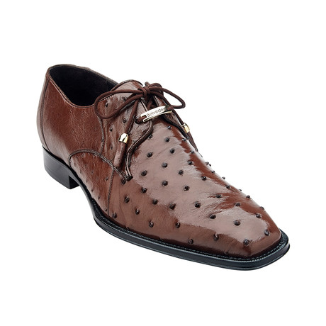 Isola Dress Shoes // Brown (US: 7)