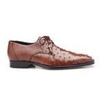 Isola Dress Shoes // Brown (US: 9)