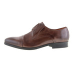 MT2210 // Derby Shoe // Brown (Euro: 45)