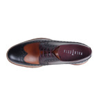 MT2271 // Brogue Shoe // Black + Tan + Bordeaux (Euro: 43)