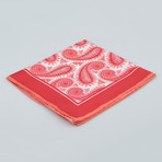 Cesare Attolini // Paisley Pattern Silk Pocket Square // Red
