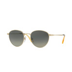 2445S Sunglasses // Gold + Gray Gradient