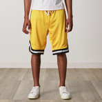 Mesh Basketball Shorts // Yellow + Black + White (S)