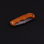 Pocket Folding Lock Back Knife // 2385
