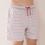Swim Shorts II // Gray + Red (M)