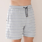 Swim Shorts // Gray + Navy (L)