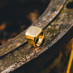 Lustitia Ring // Gold Finish (Size 6)